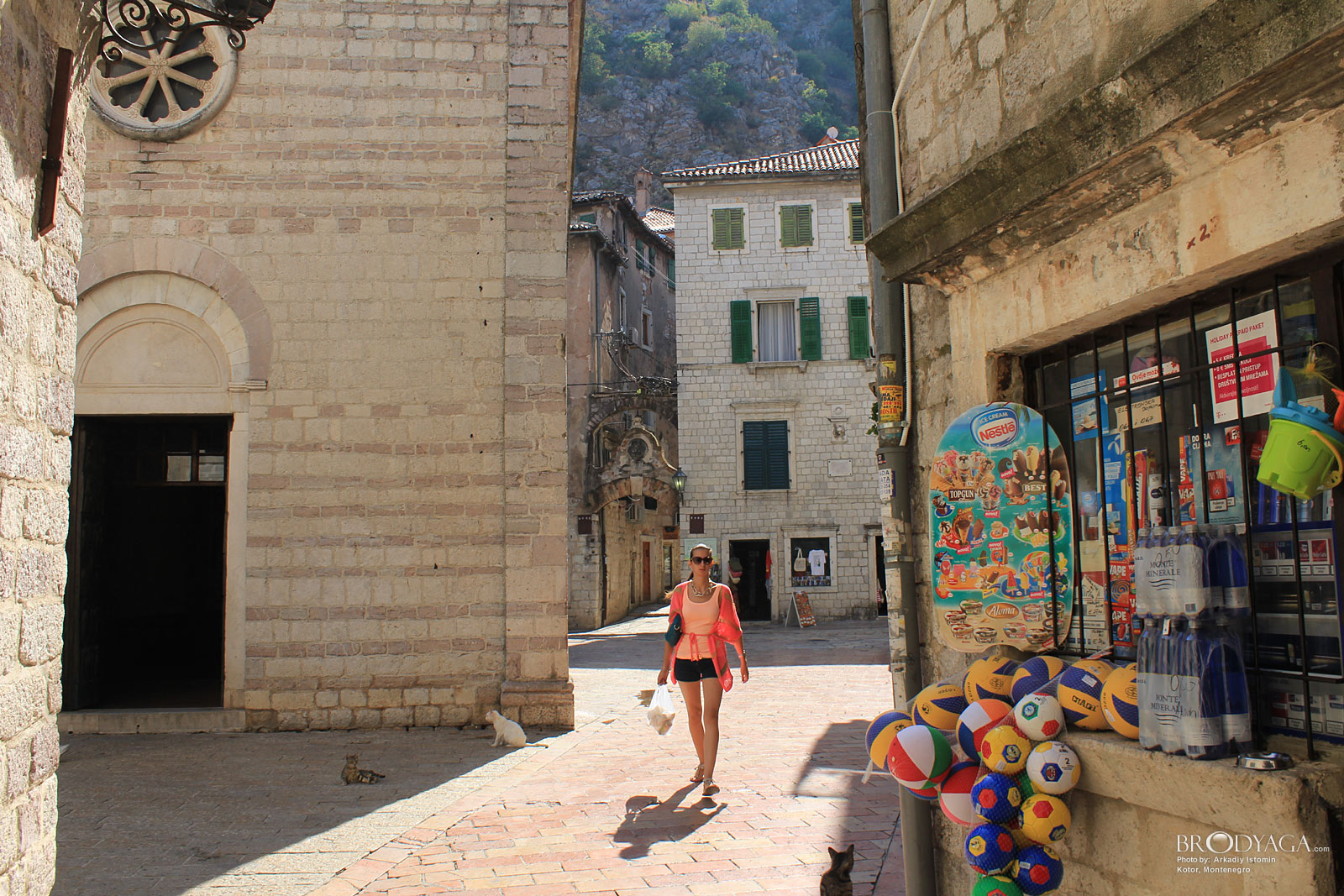 Kotor